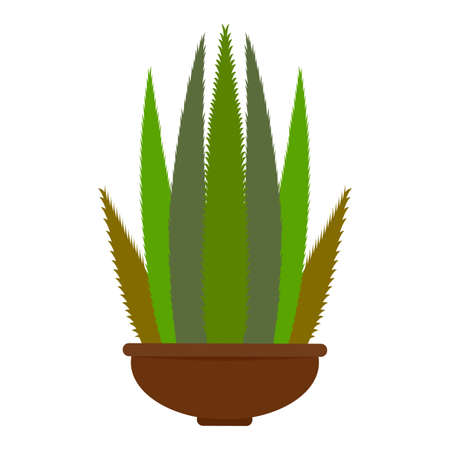 Abstract cute cactusのイラスト素材