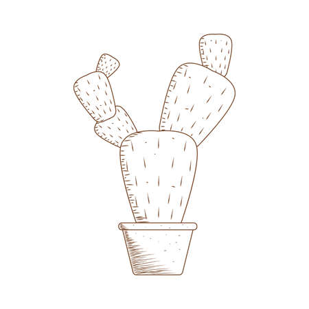 abstract cute cactus on a white backgroundのイラスト素材
