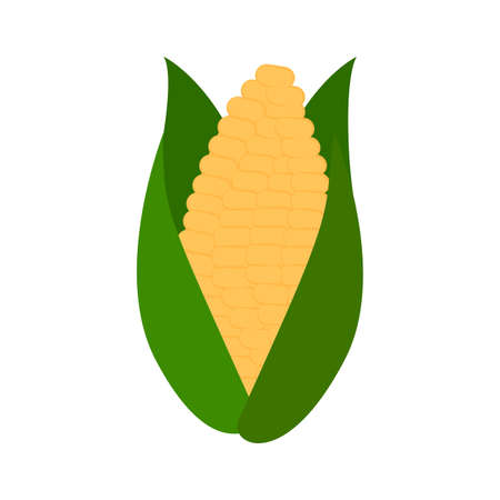 Festa junina objectのイラスト素材