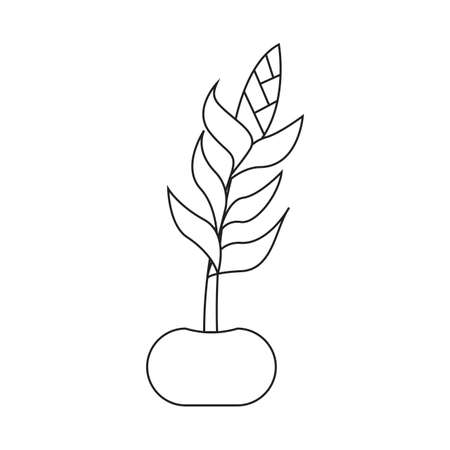 cute drawing outline plant, vector illustration designのイラスト素材