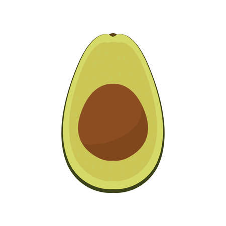 isolated cut avocadoのイラスト素材