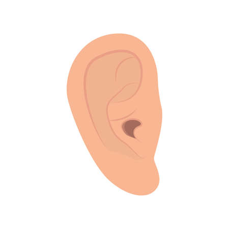 abstract human ear on a white background, vector illustration designのイラスト素材