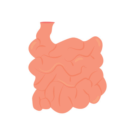 abstract human small intestine on a white background, vector illustration design
