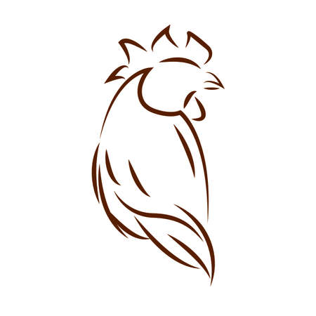 abstract chicken draw on a white background, vector illustration designのイラスト素材
