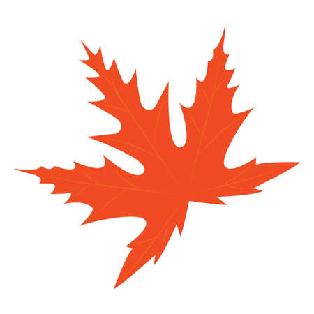 Isolated autumn leaf on a white background - Vector illustration designのイラスト素材