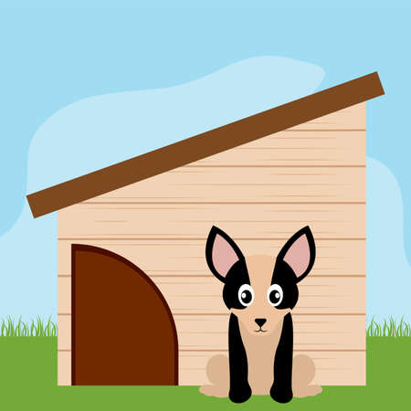 Dog in a pet house - Vector illustration designのイラスト素材