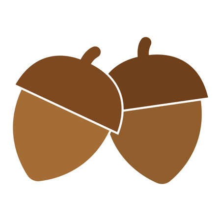 Isolated acorn icon. Thanksgiving season - Vector illustration designのイラスト素材