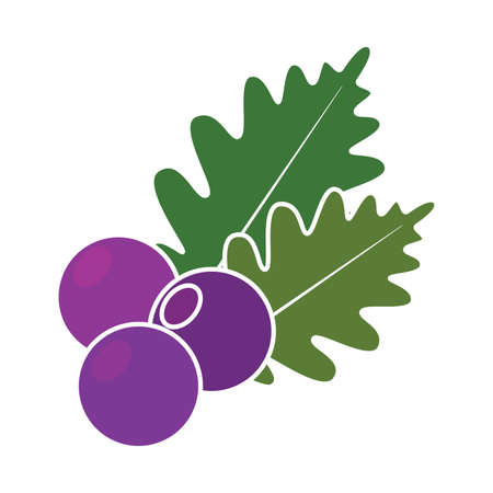 Isolated autumn leaf icon. Thanksgiving season - Vector illustration designのイラスト素材