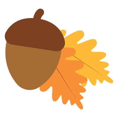 Isolated acorn icon. Thanksgiving season - Vector illustration designのイラスト素材