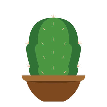Cactus icon in a pot plant - Vector illustrationのイラスト素材