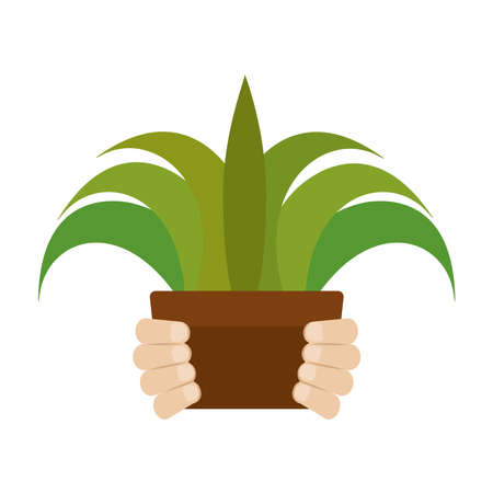Isolated plant sow activity home with hands icon- Vectorのイラスト素材