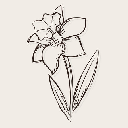 Isolated sketch of a flower Vector illustrationのイラスト素材