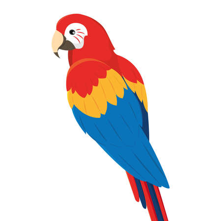 Isolated traditional colored tropical parrot Vector illustrationのイラスト素材