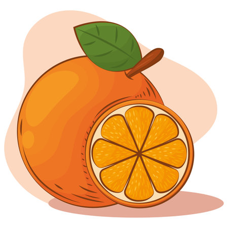 Isolated orange color sketch vector illustationのイラスト素材
