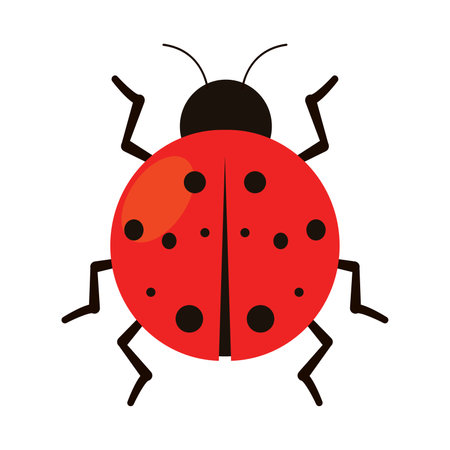 Isolated colored ladybug insect animal icon Vectorのイラスト素材