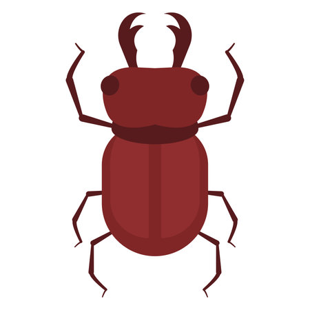 Isolated colored beetle insect animal icon Vectorのイラスト素材