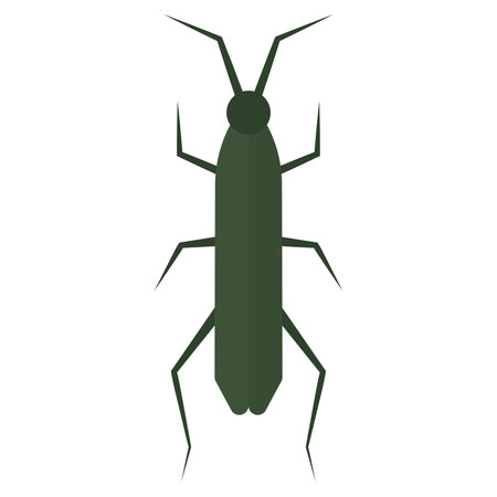 Isolated colored insect animal icon Vectorのイラスト素材
