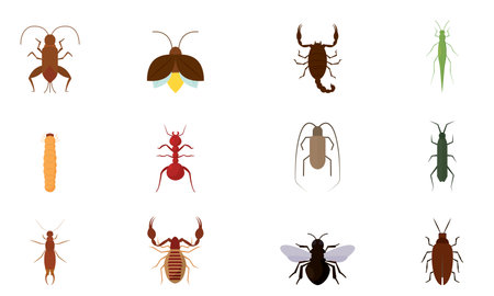Set of different colored insect icons Vectorのイラスト素材