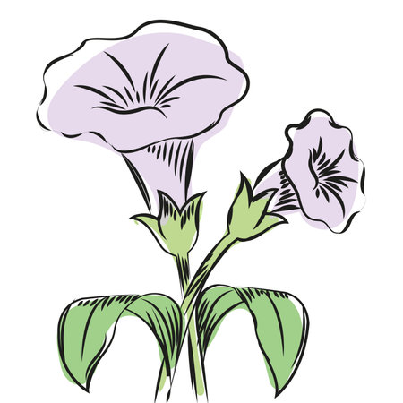 Watercolor sketch of a flower Vectorのイラスト素材