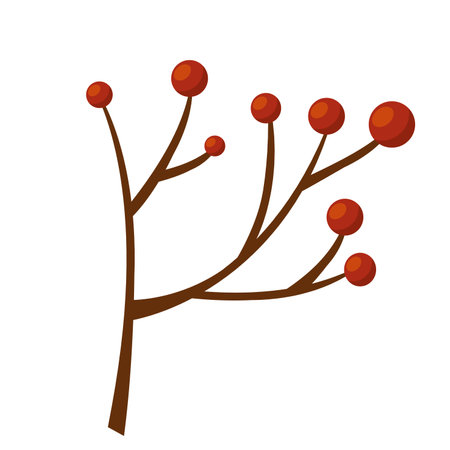 Isolated colored autumn leaf icon Vectorのイラスト素材