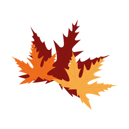 Isolated colored seaosonal leaf icon Vectorのイラスト素材
