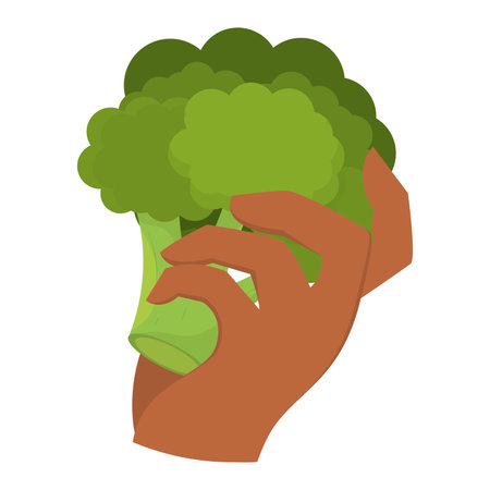 Isolated hand holding a broccoli vegetable Vectorのイラスト素材