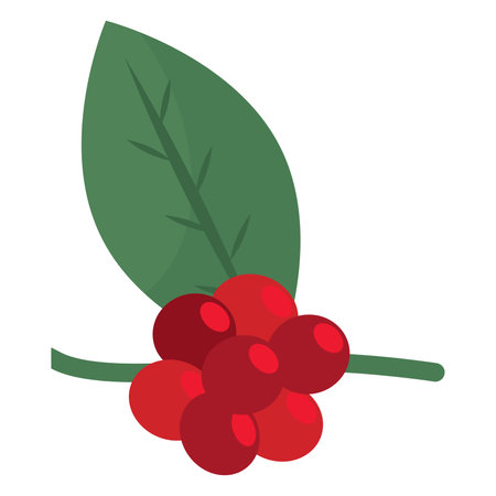 Coffee branch with leaf. Vector illustrationのイラスト素材