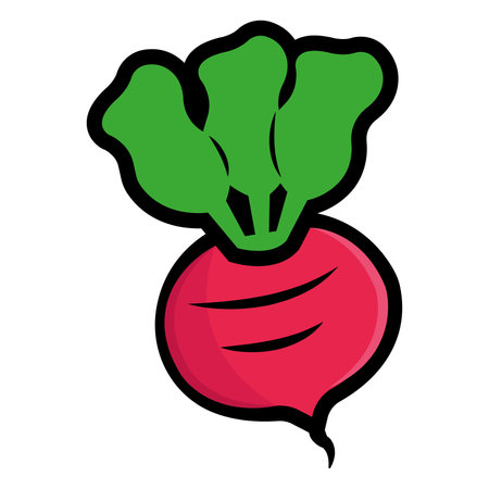 Bright Red Radish Icon. Vector illustrationのイラスト素材