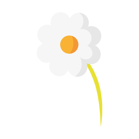 Single cartoon white daisy flower. Vector illustrationのイラスト素材