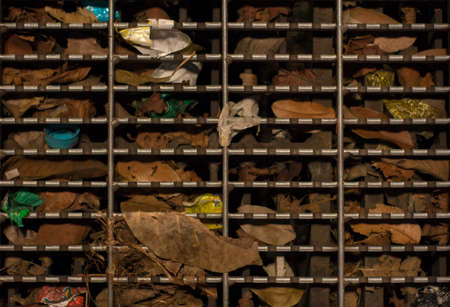 texture, background, floor, garbage, plants, save, earthの写真素材