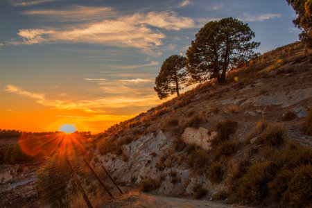 Sunset in the mountains with two trees.の写真素材