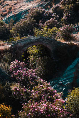 Ancient roan bridge in the mountain of Malaga.の写真素材