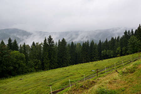 Valley with near field and forest Mountains, Czechの写真素材