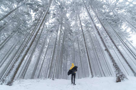 A man walks in a snowy path in winterの写真素材