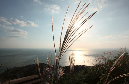 Sea Of Mist On Top Of Mountain