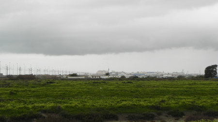 Green fields with the city of Cádiz in the background
