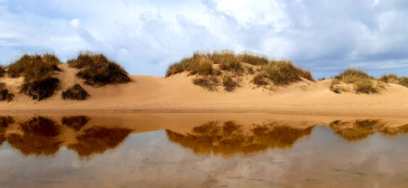 Sand dunes reflected in the waterの写真素材