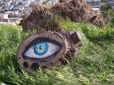 Tree stump with eye artwork painted on in a park outdoorsの写真素材