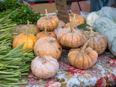 Pumpkins for sale at farmer's marketの写真素材