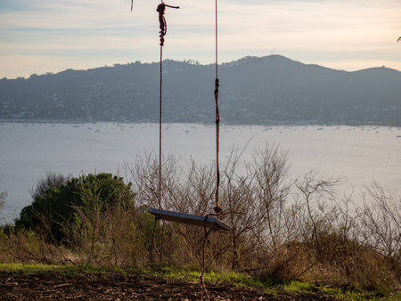 Basic swing overlooking nature and water