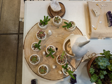 Overhead of small plants and jewelry for saleの写真素材