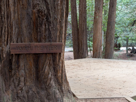 Wooden amphitheater sign in woods with stage to right