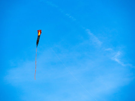 A cobra festively kite flying high on a sunny day