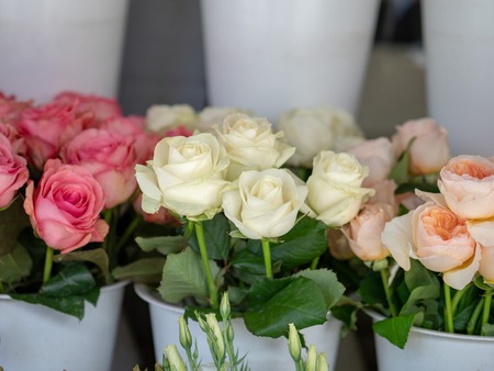 Red, white, pink bouquets of roses sitting outside storefront ofの写真素材