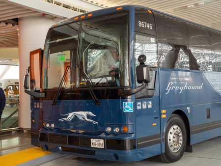 Front of blue Greyhound intercity bus serviceのeditorial素材