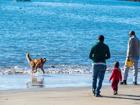 Family plays with wet golden retriever dog covered playing fetch in the ocean beachの写真素材