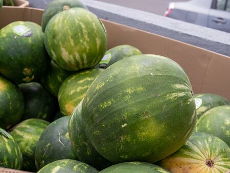 Watermelon piled in cardboard box in an outdoor grocery marketの写真素材
