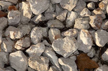 pebblesの写真素材