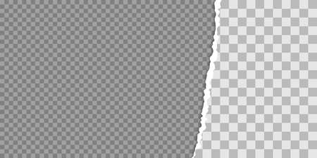 Torn paper edge vector illustration. Teared, ripped photo, sheet or page texture. Collage of 2 images.のイラスト素材