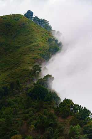 The mist moves through the Mountains, A beautiful view point of Doi Pha Tang, Chiang Rai, Thailand